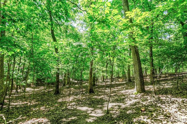 504 Greenwood Lane, Marthasville, MO 63357