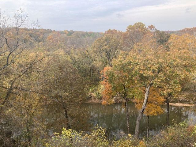 44 Wabash Drive, Cherokee Village, AR 72529