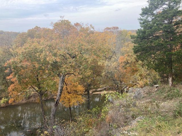 44 Wabash Drive, Cherokee Village, AR 72529