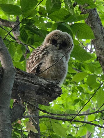 21 Gould Hill Road, Hopkinton, NH 03229