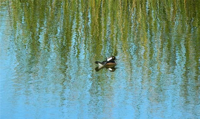 1380 Saint Catherines Circle, Vero Beach, FL 32967