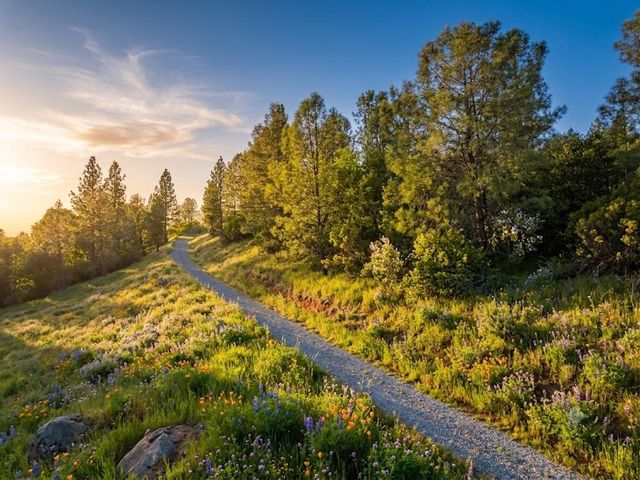 1285 Cosens Ln, Placerville, CA 95667