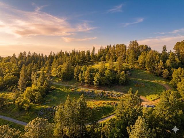 1285 Cosens Ln, Placerville, CA 95667
