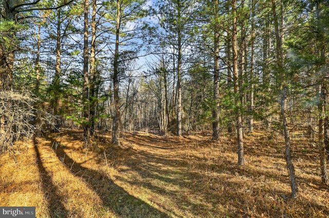 293 PENNY ANN LN, Strasburg, VA 22657