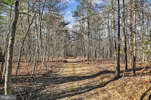 293 PENNY ANN LN, Strasburg, VA 22657