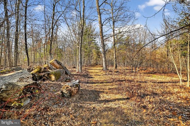 293 PENNY ANN LN, Strasburg, VA 22657