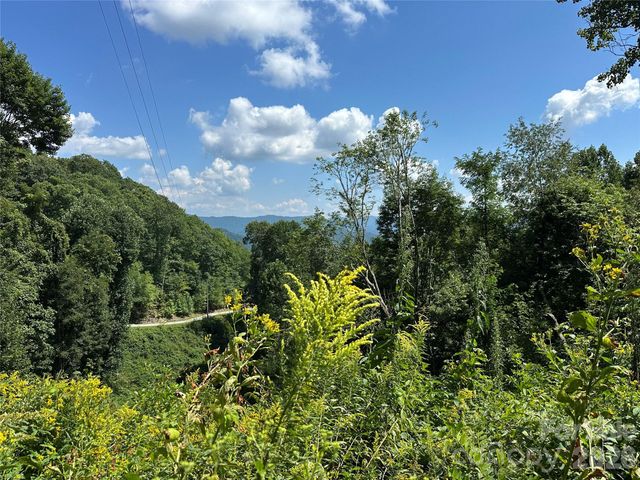 99999 Running Bear Road, Hot Springs, NC 28743