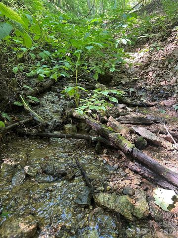 99999 Running Bear Road, Hot Springs, NC 28743