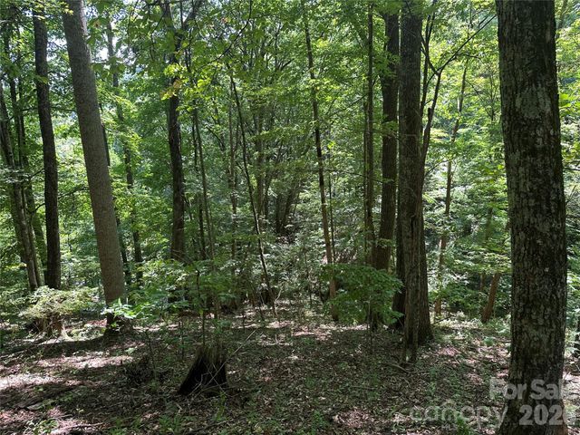 99999 Running Bear Road, Hot Springs, NC 28743