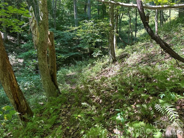99999 Running Bear Road, Hot Springs, NC 28743