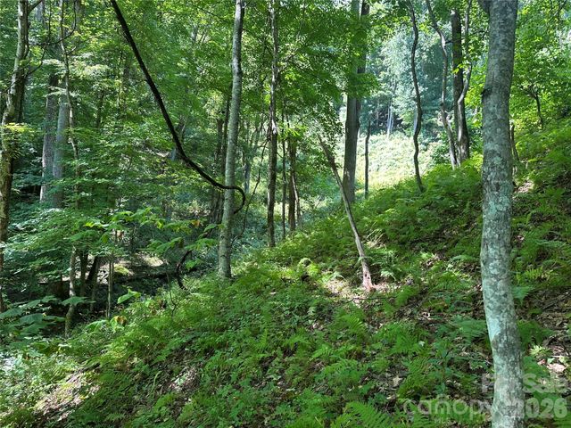 99999 Running Bear Road, Hot Springs, NC 28743
