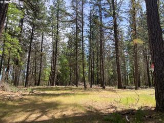 54 W PONDEROSA Dr, Goldendale, WA 98620