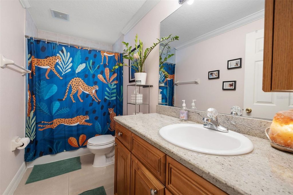 Image 24 of property listing at 1804 W ERNA DRIVE, Tampa, FL 33603