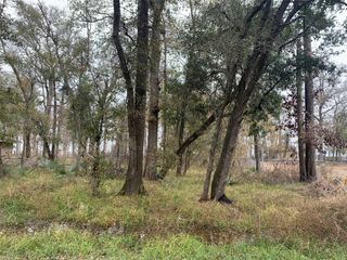 0 Pinemont Drive Drive, Guy, TX 77444