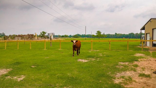 7117 3175, Buffalo, TX 75831