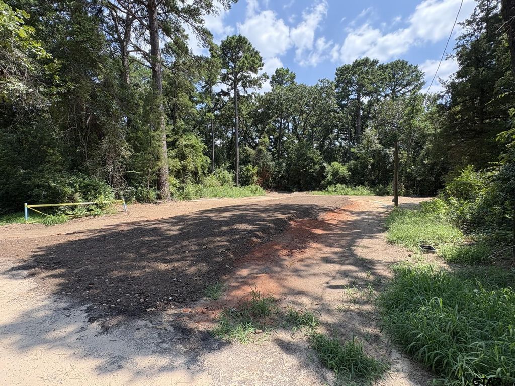 161 Kirk Ln, Bullard, TX 75757