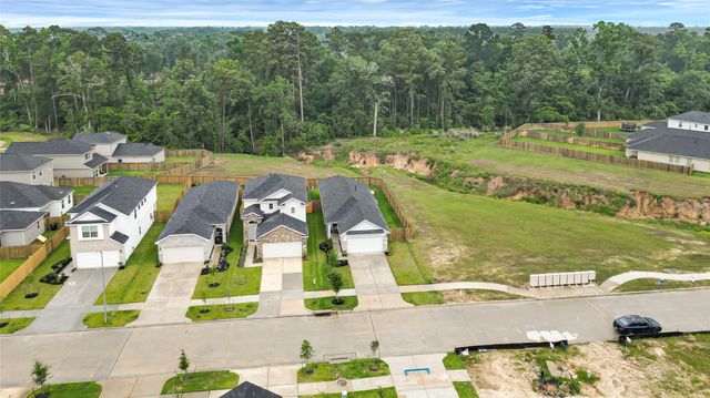 515 Emerald Thicket Lane, Houston, TX 77336