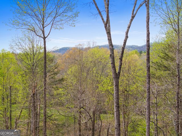 1134 Maggie Chapman Road, Blue Ridge, GA 30513