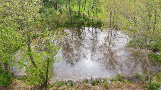 2190 Lily Road, London, KY 40744