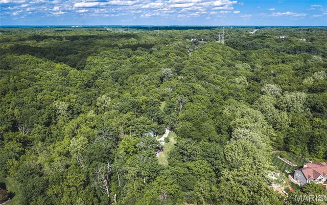 19217 &19209 Falzone Road, Wildwood, MO 63038