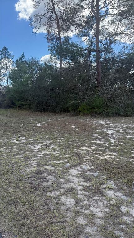 TBD SW 40TH CIRCLE, Ocala, FL 34473