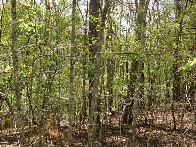 0 Dallas Lane, Blue Ridge, GA 30513