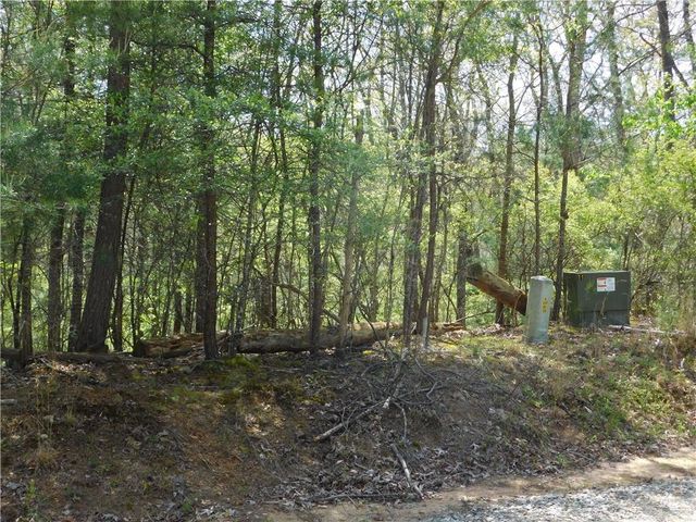 0 Dallas Lane, Blue Ridge, GA 30513