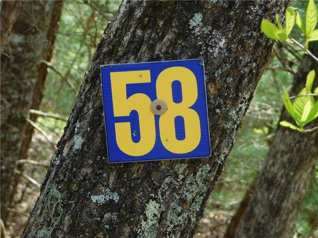 0 Dallas Lane, Blue Ridge, GA 30513