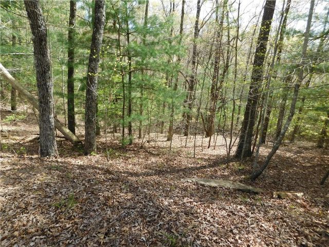 0 Dallas Lane, Blue Ridge, GA 30513