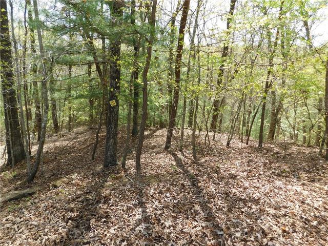 0 Dallas Lane, Blue Ridge, GA 30513