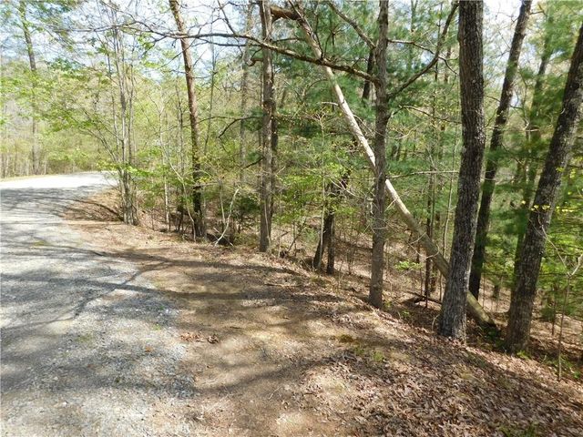 0 Dallas Lane, Blue Ridge, GA 30513