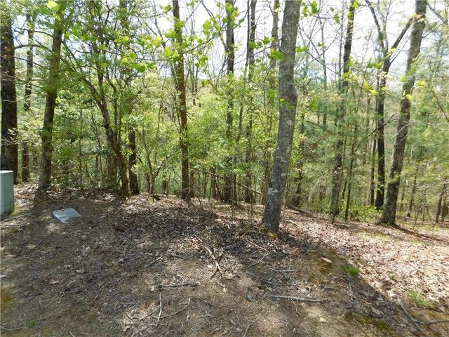 0 Dallas Lane, Blue Ridge, GA 30513