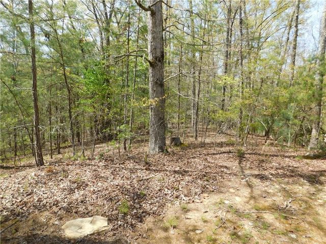 0 Dallas Lane, Blue Ridge, GA 30513