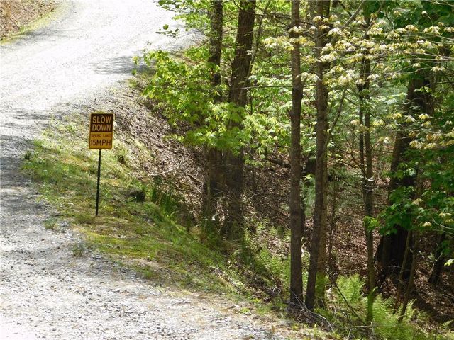 0 Dallas Lane, Blue Ridge, GA 30513