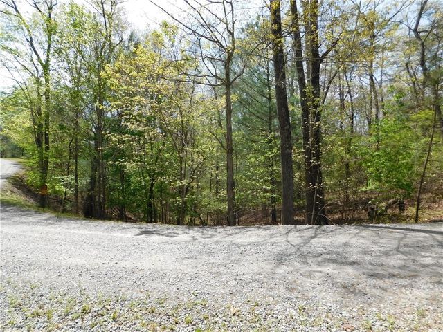 0 Dallas Lane, Blue Ridge, GA 30513