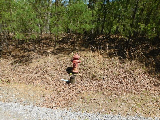 0 Dallas Lane, Blue Ridge, GA 30513