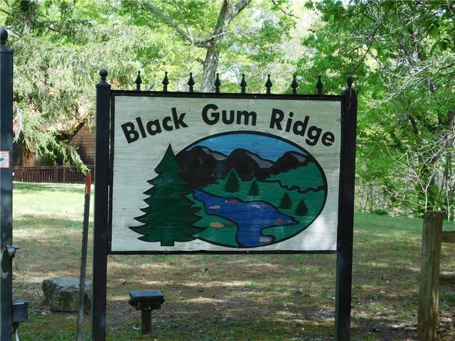 0 Dallas Lane, Blue Ridge, GA 30513