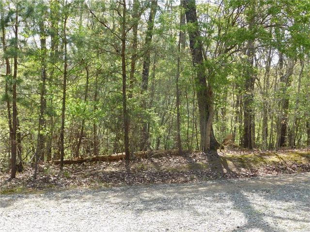 0 Dallas Lane, Blue Ridge, GA 30513