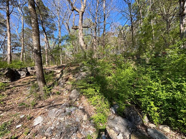 1530 Burning Bush Road, Ringgold, GA 30736