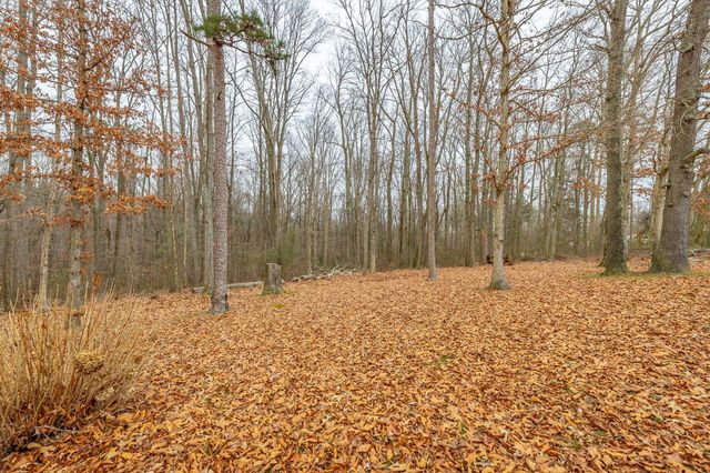 4495 Alabama 73, Bryant, AL 35958