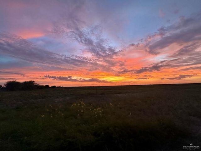 lot 2 Briggs Cloeman Briggs Coleman Road, Harlingen, TX 78550