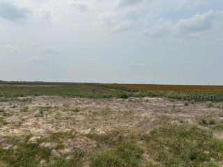 lot 2 Briggs Cloeman Briggs Coleman Road, Harlingen, TX 78550