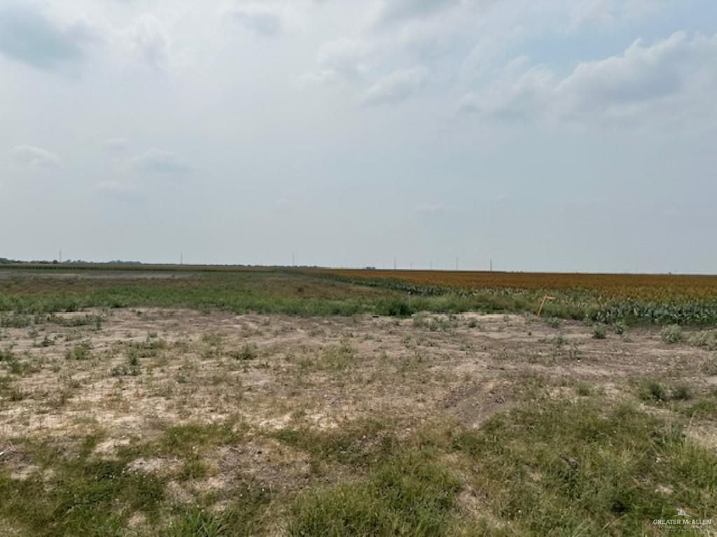 lot 2 Briggs Cloeman Briggs Coleman Road, Harlingen, TX 78550