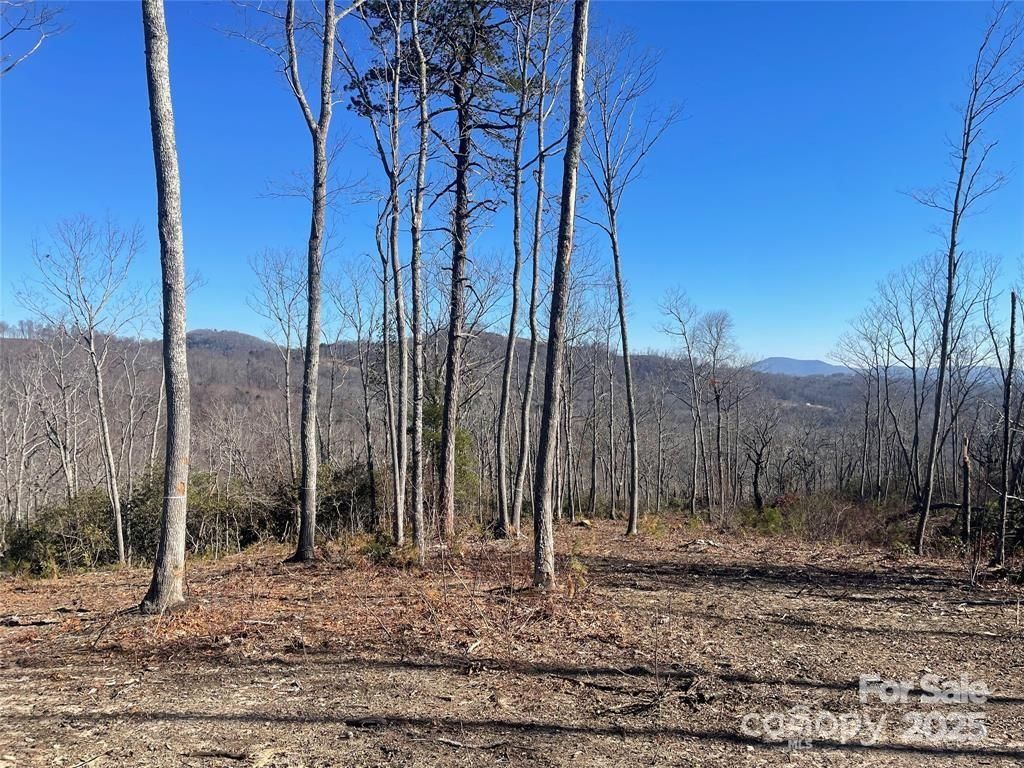 Lot 59 Mountain Grove Lane, Fletcher, NC 28732