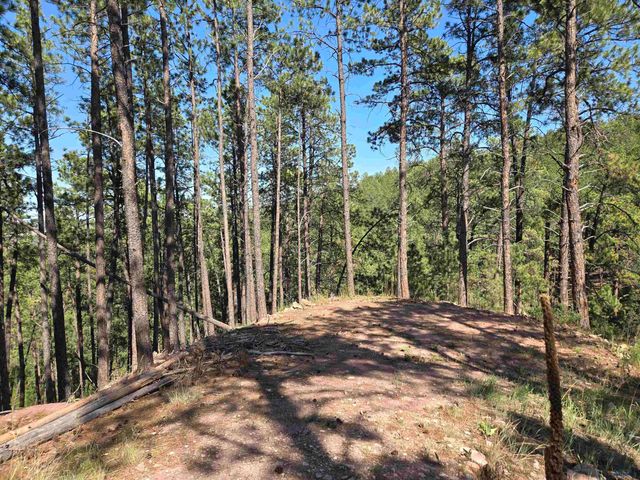 6130 TIMBERLINE RD W, Rapid City, SD 57702
