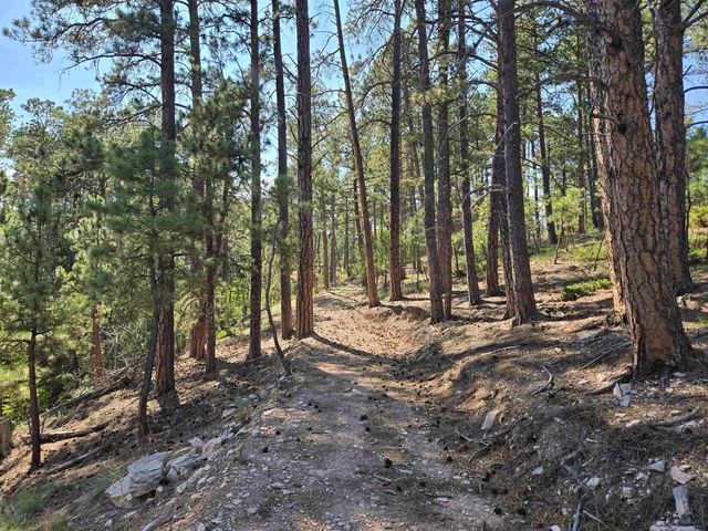 6130 TIMBERLINE RD W, Rapid City, SD 57702