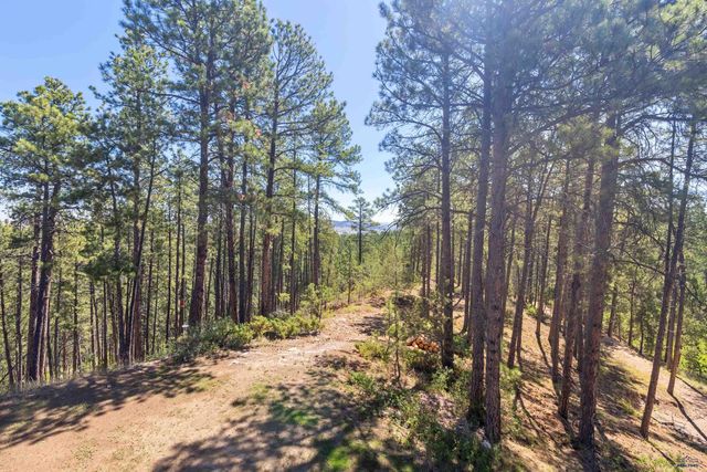 6130 TIMBERLINE RD W, Rapid City, SD 57702