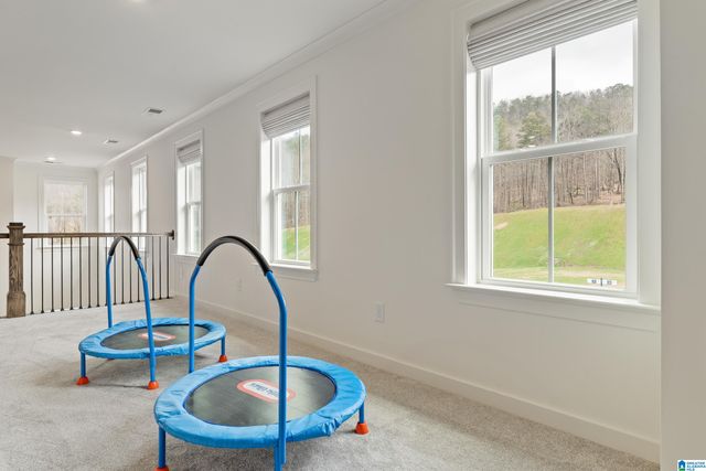 168 JEFFERSON PLACE, Birmingham, AL 35242