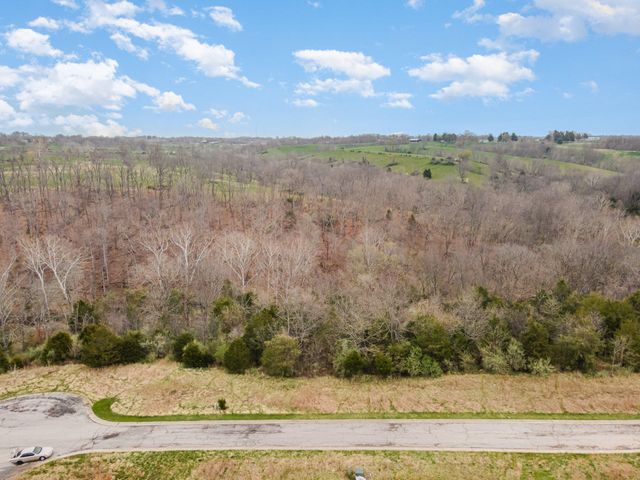 Lot 30 Saddlebrook Lane, Dry Ridge, KY 41035