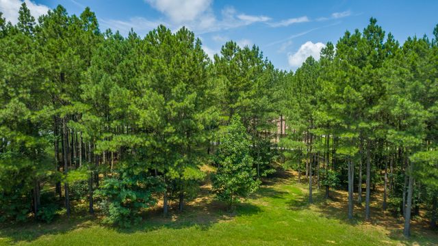 0 River Bluffs Drive Rb74, Jasper, TN 37347